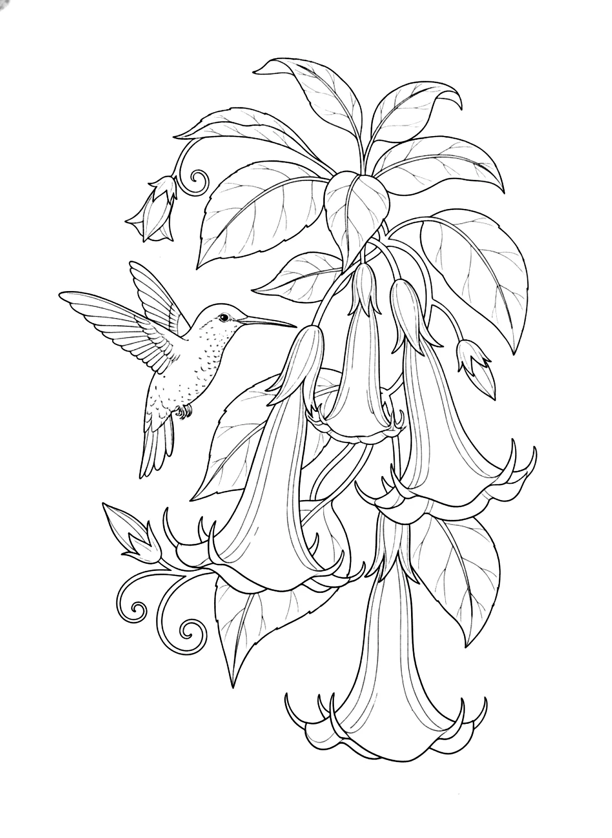 Hummingbird and flowers coloring page for adults: a hummingbird hovering near trumpet flowers and leaves, black line art