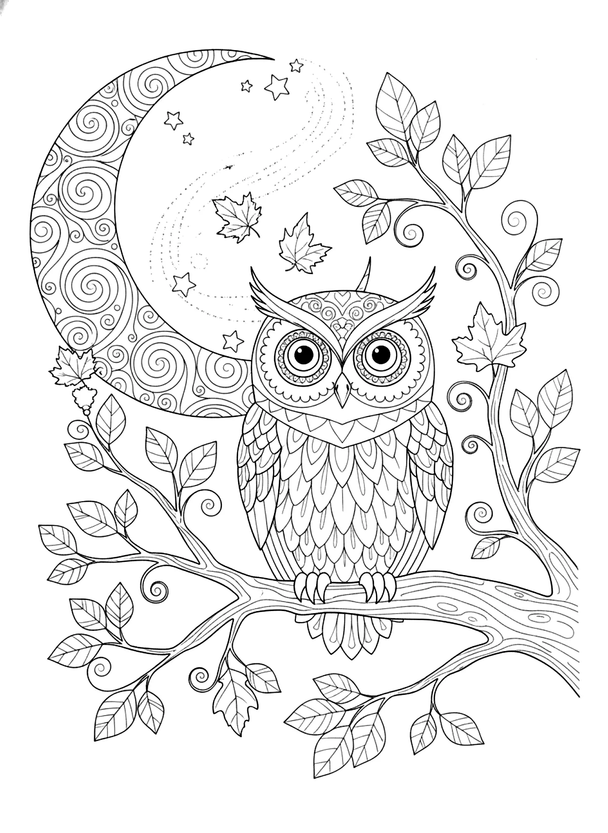 Owl on a branch at night coloring page for adults: a wise owl perched on a branch with a crescent moon and leaves, black line art