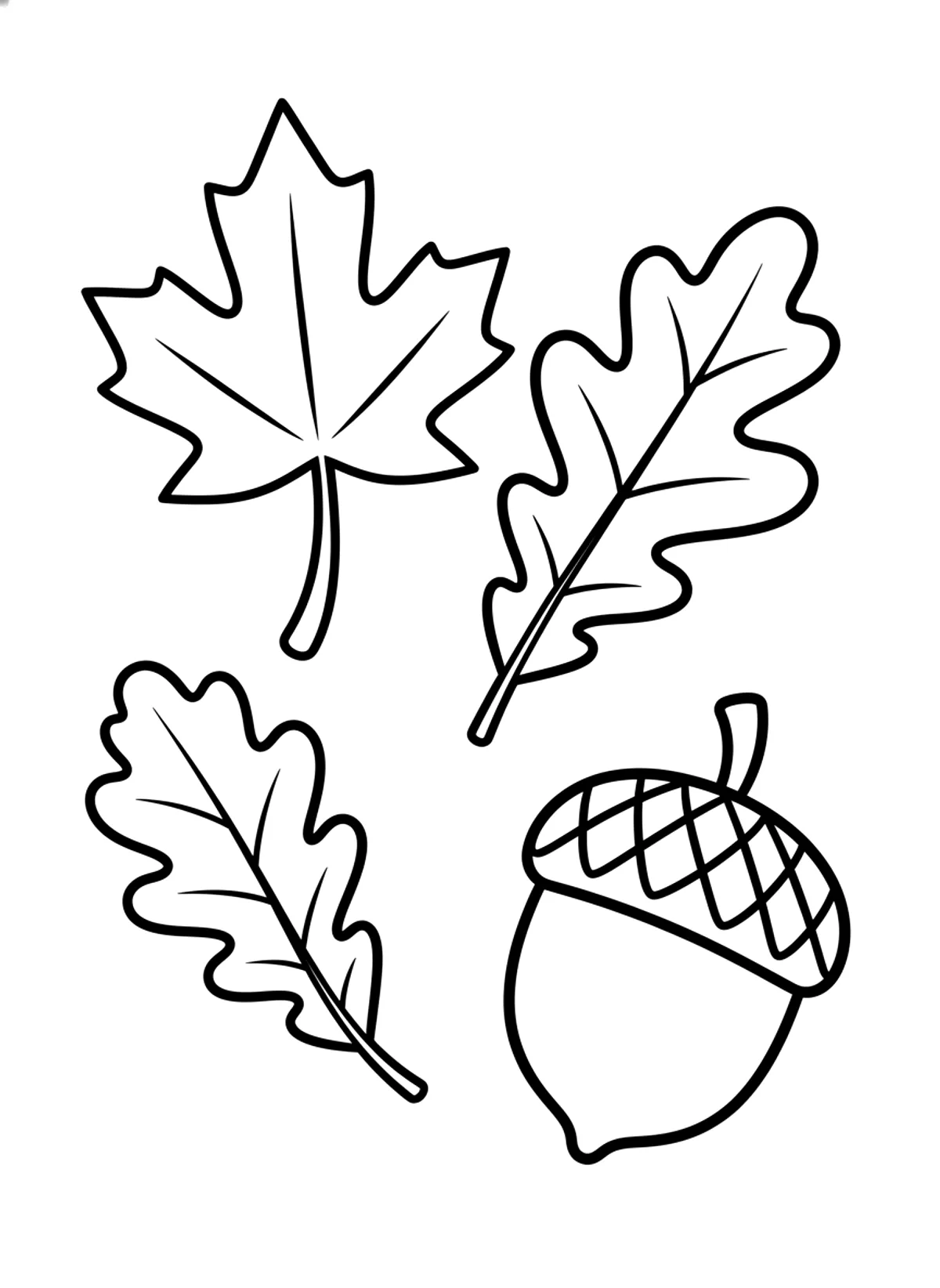 Bold autumn leaves coloring page for adults: a few big simple maple and oak leaves with an acorn, black line art