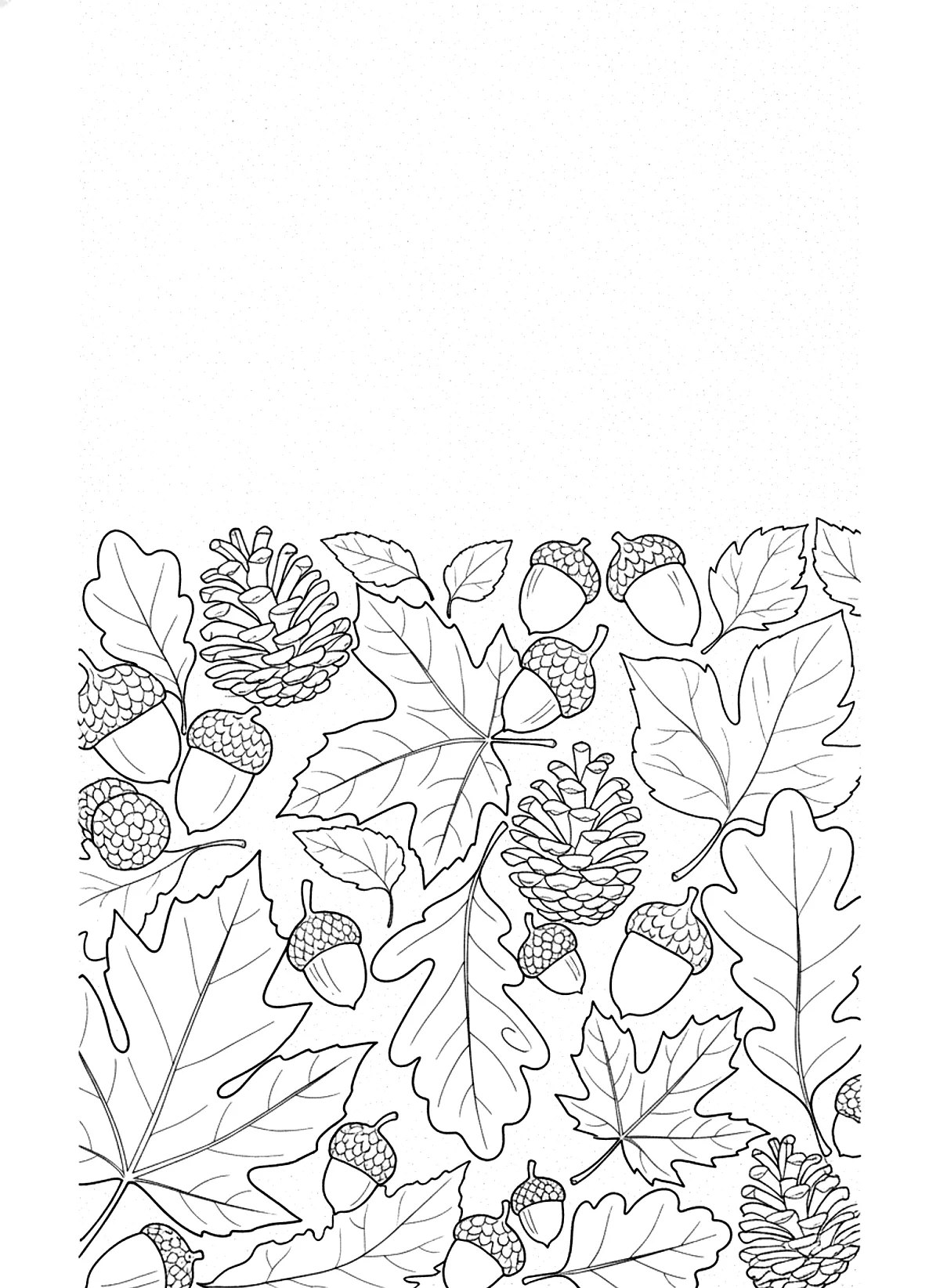 Autumn leaves pattern coloring page for adults: a page filled with large autumn leaves, acorns and pine cones, black line art