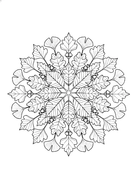 Autumn leaf mandala coloring page for adults: a round mandala made of maple, oak and ginkgo leaves, black line art