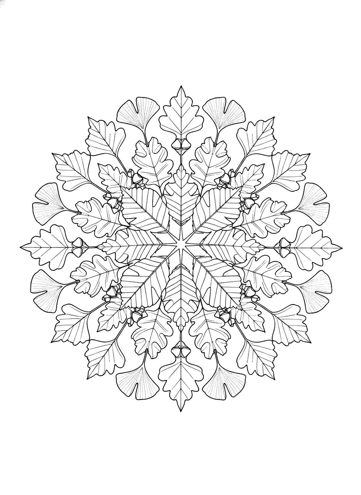Autumn leaf mandala coloring page for adults: a round mandala made of maple, oak and ginkgo leaves, black line art