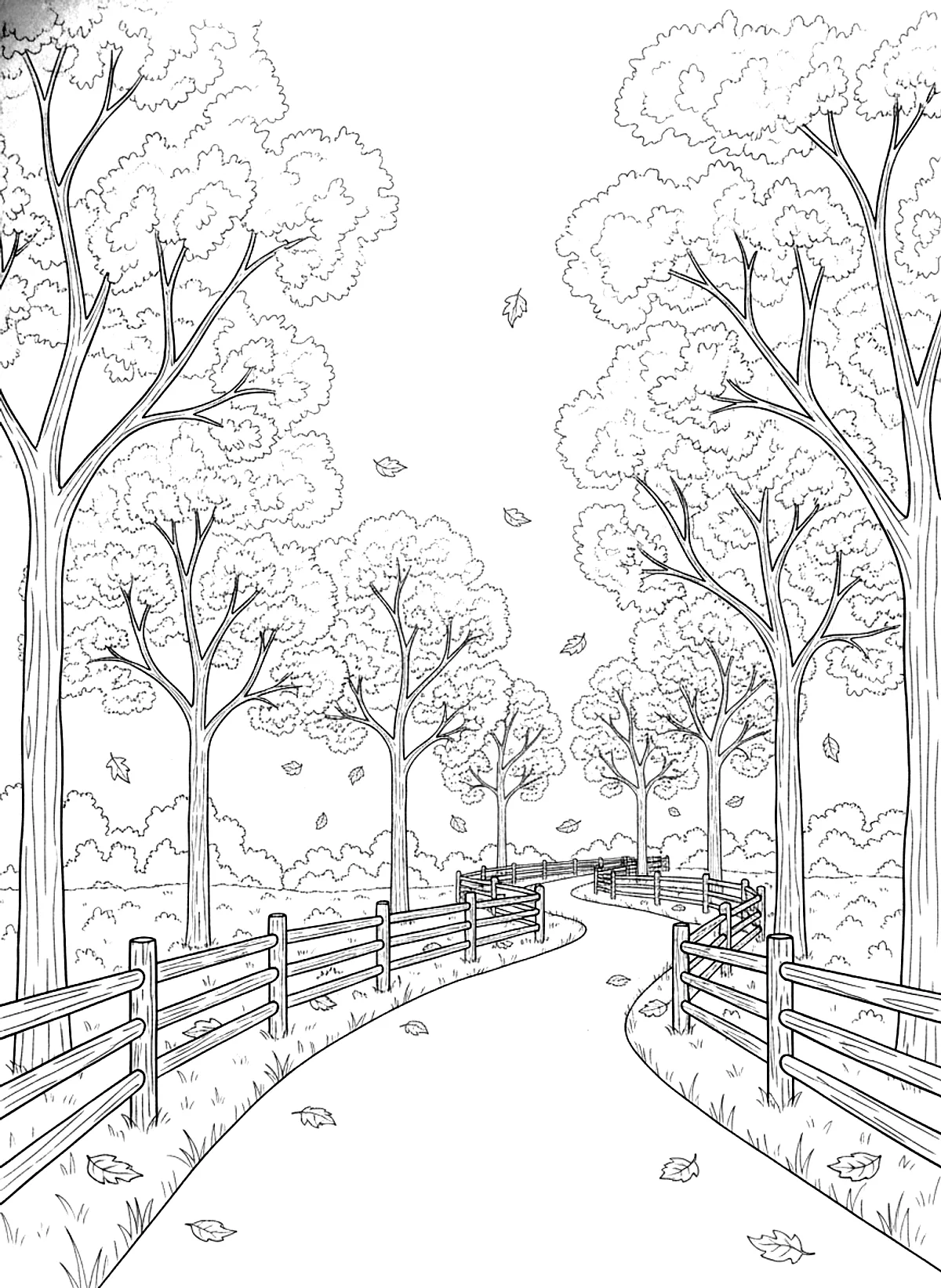 Autumn country road coloring page for adults: a winding country road through trees with falling leaves and a wooden fence, black line art