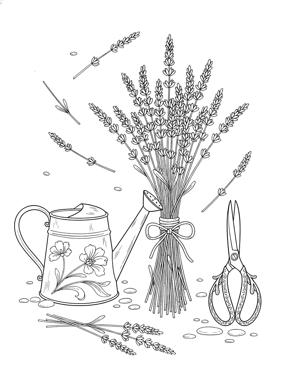 Lavender bundle coloring page for adults: a bundle of lavender tied with twine next to a watering can and scissors, black line art