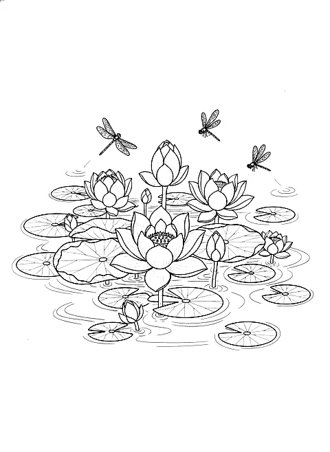 Lotus flowers on a pond coloring page for adults: lotus flowers and lily pads on a calm pond with dragonflies, black line art