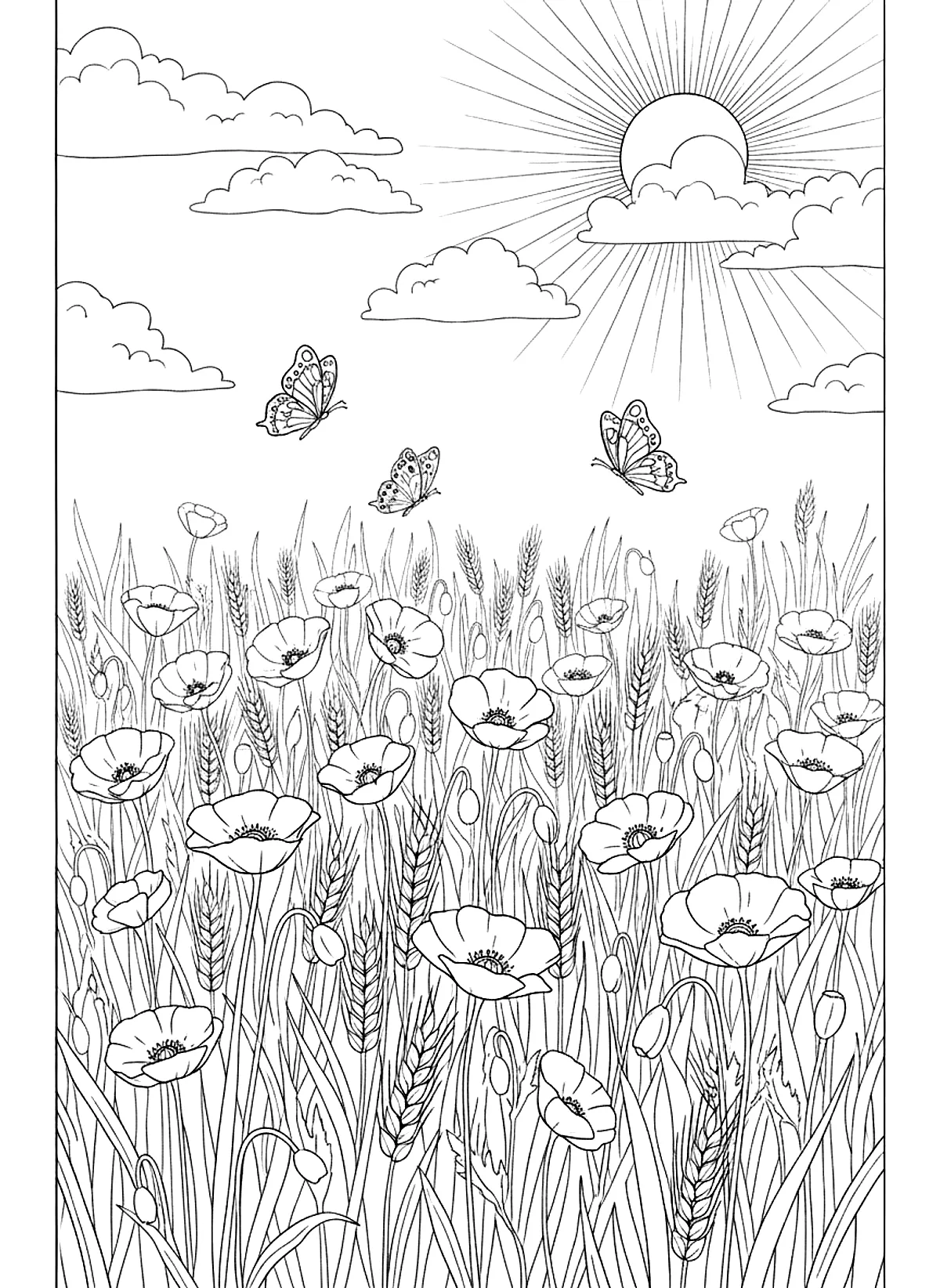 Poppy field coloring page for adults: a field of poppies and wheat with butterflies under a summer sky, black line art