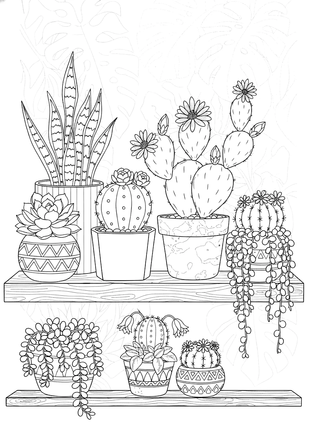 Succulents and cactus flowers coloring page for adults: a group of potted succulents and flowering cacti on a shelf, black line art