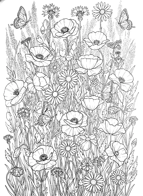Wildflower meadow coloring page for adults: a wildflower meadow with poppies, daisies, cornflowers and butterflies, black line art
