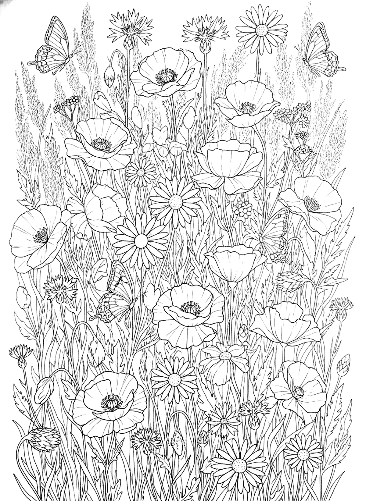 Wildflower meadow coloring page for adults: a wildflower meadow with poppies, daisies, cornflowers and butterflies, black line art