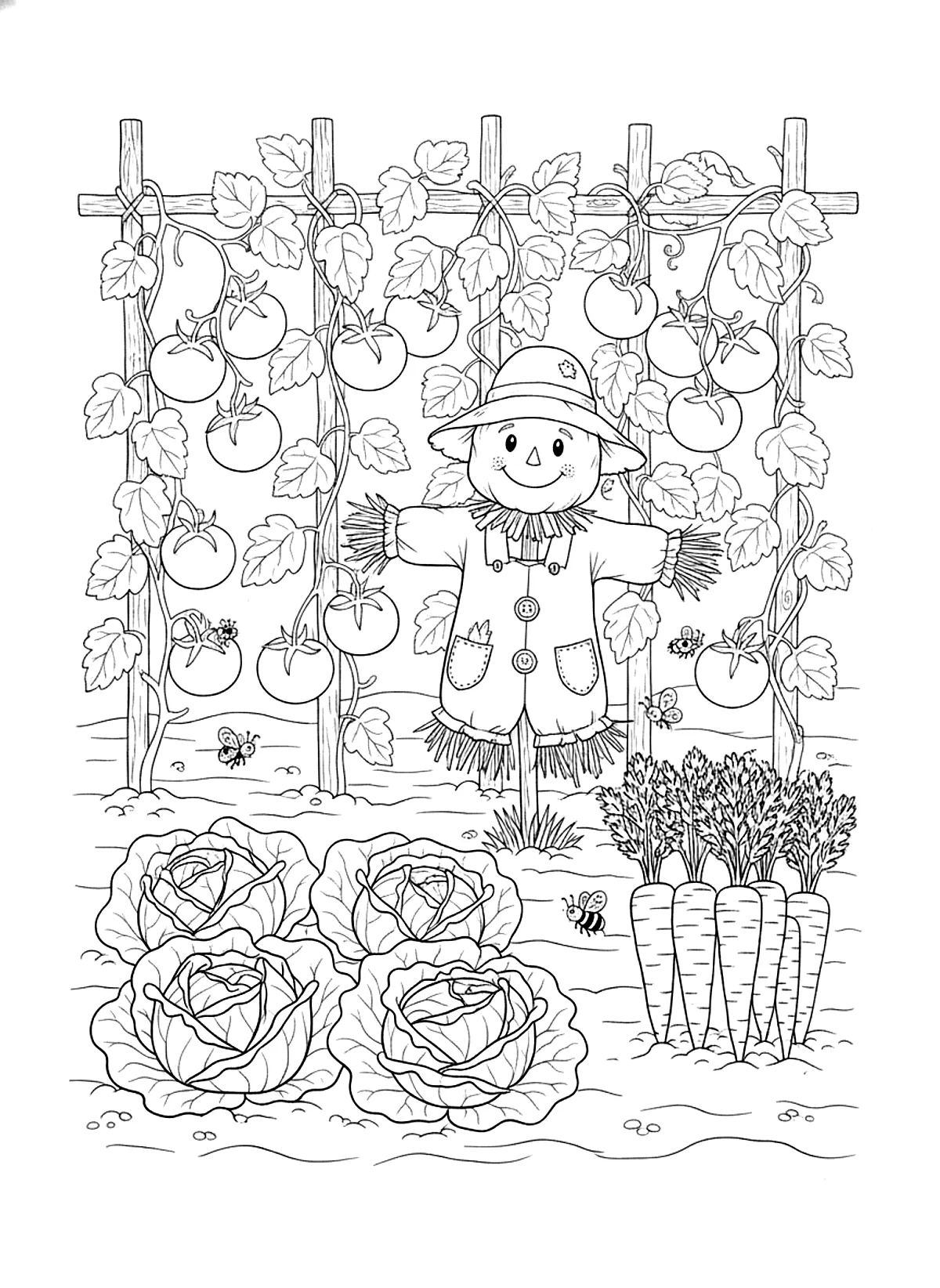 Vegetable patch coloring page for adults: a vegetable patch with cabbages, carrots, tomatoes and a scarecrow, black line art