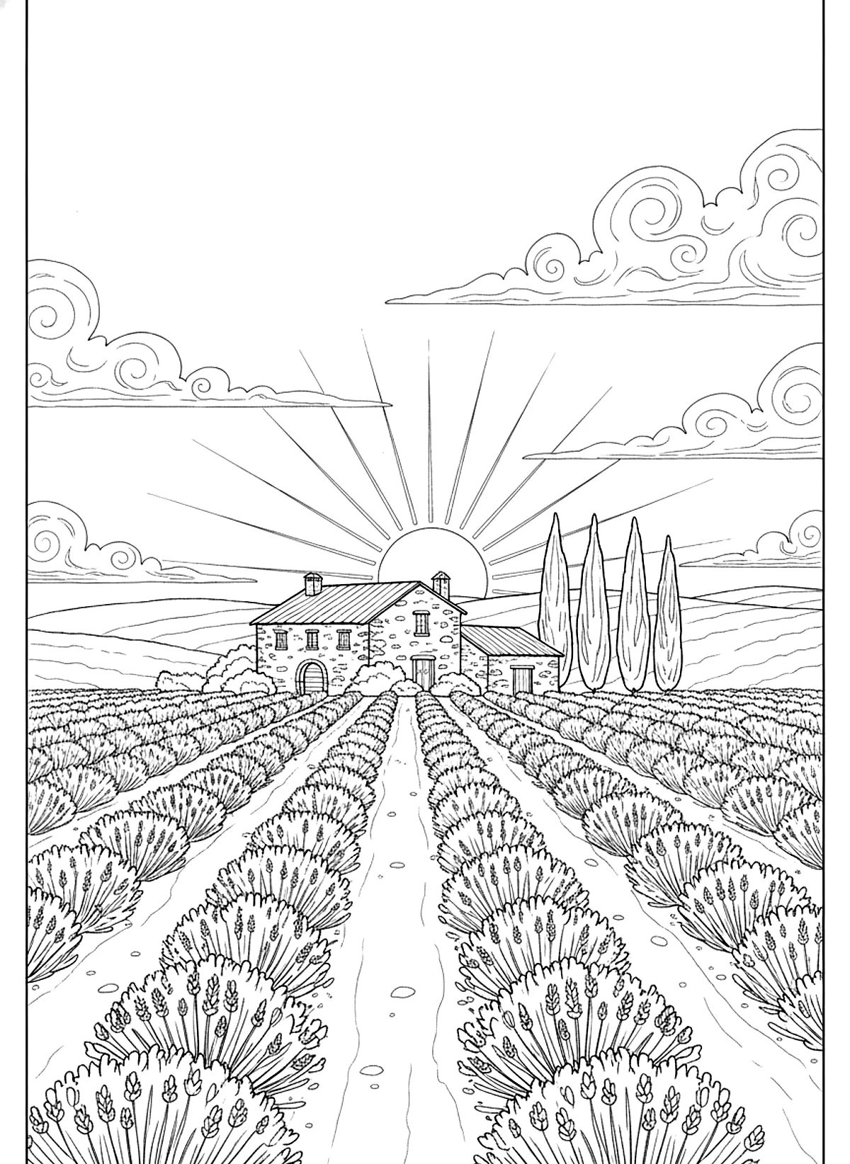 Lavender fields coloring page for adults: rows of lavender fields leading to a stone farmhouse and cypress trees, black line art