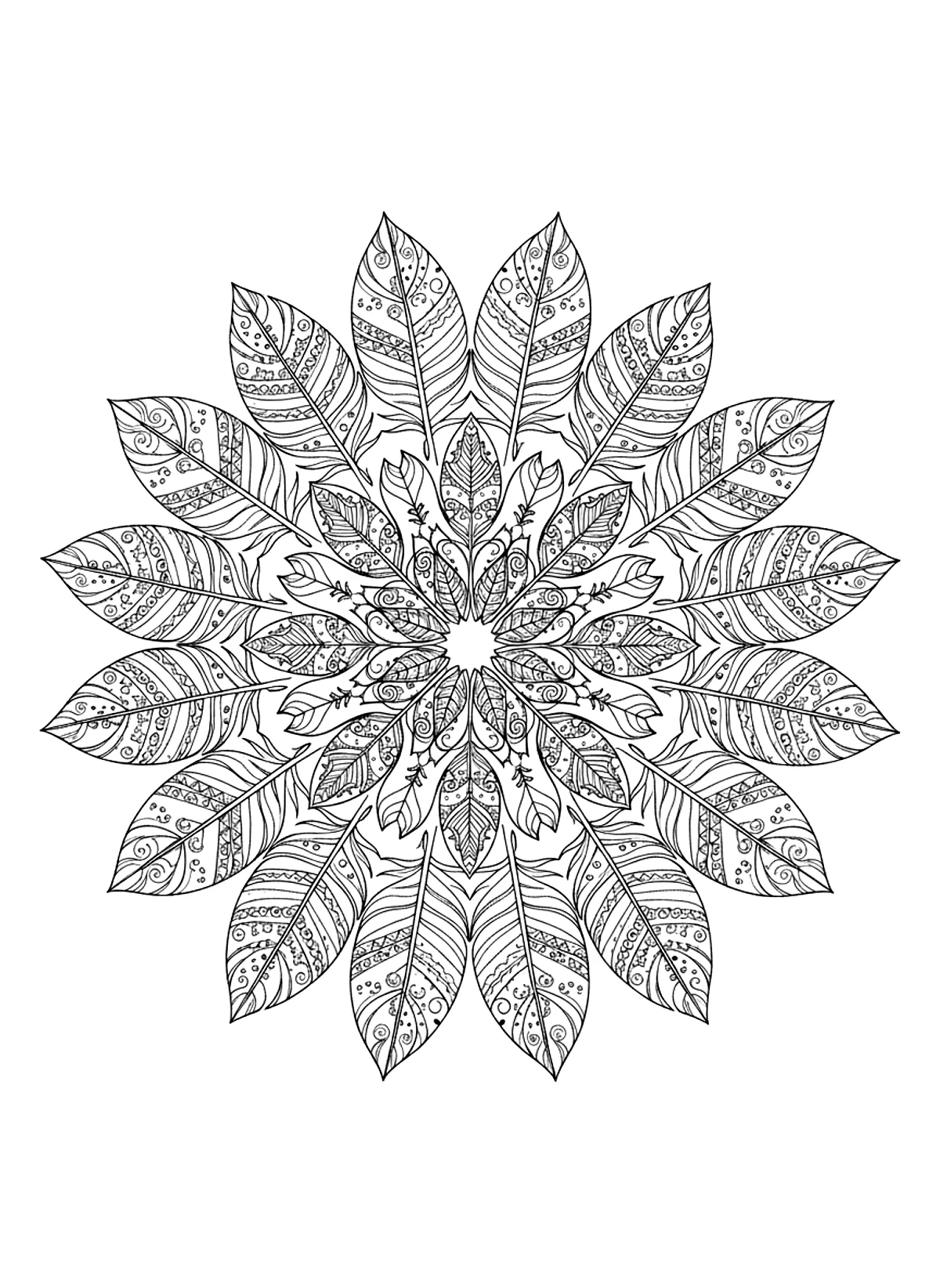 Feather mandala coloring page for adults: a circle of feathers with ornamental patterns arranged as a mandala, black line art