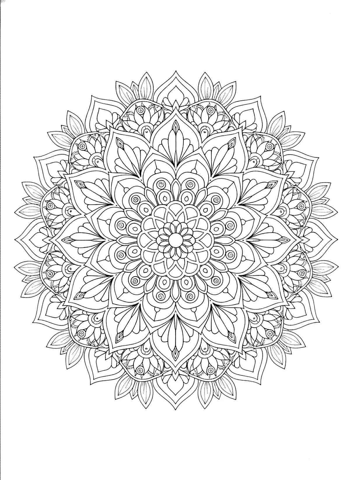 Floral mandala coloring page with layered petals in a large symmetrical pattern