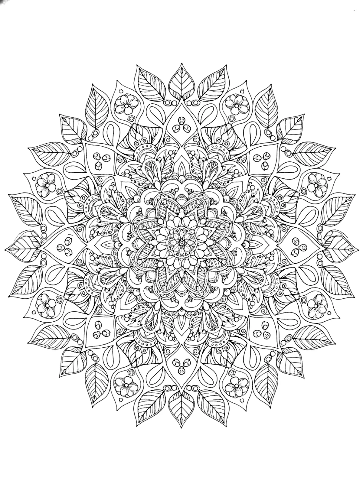 Mandala coloring page made of leaves, petals and small geometric motifs