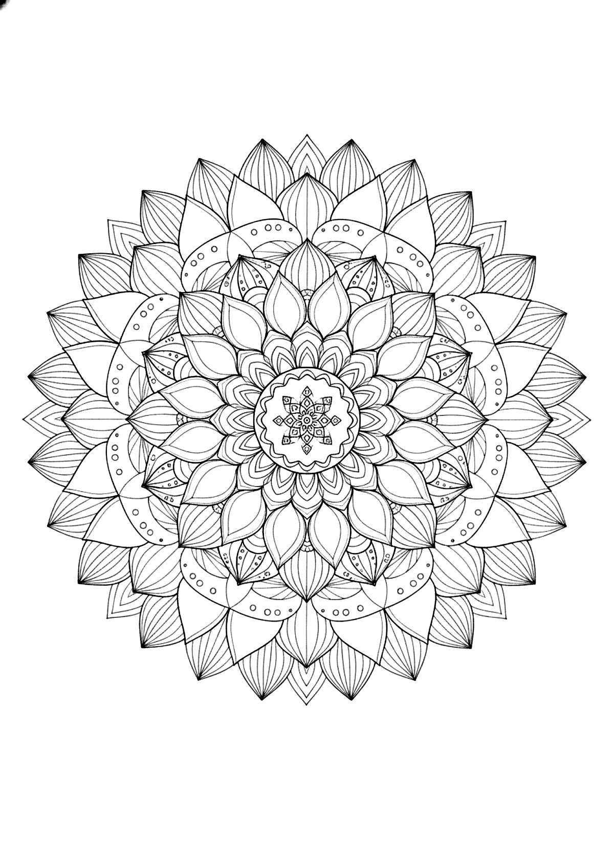 Lotus mandala coloring page for adults: a mandala built from layered lotus petals around a small center, black line art