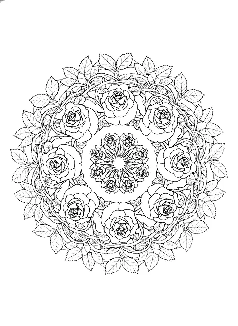 Rose mandala coloring page for adults: a mandala built from rose blossoms and leaves in rings, black line art