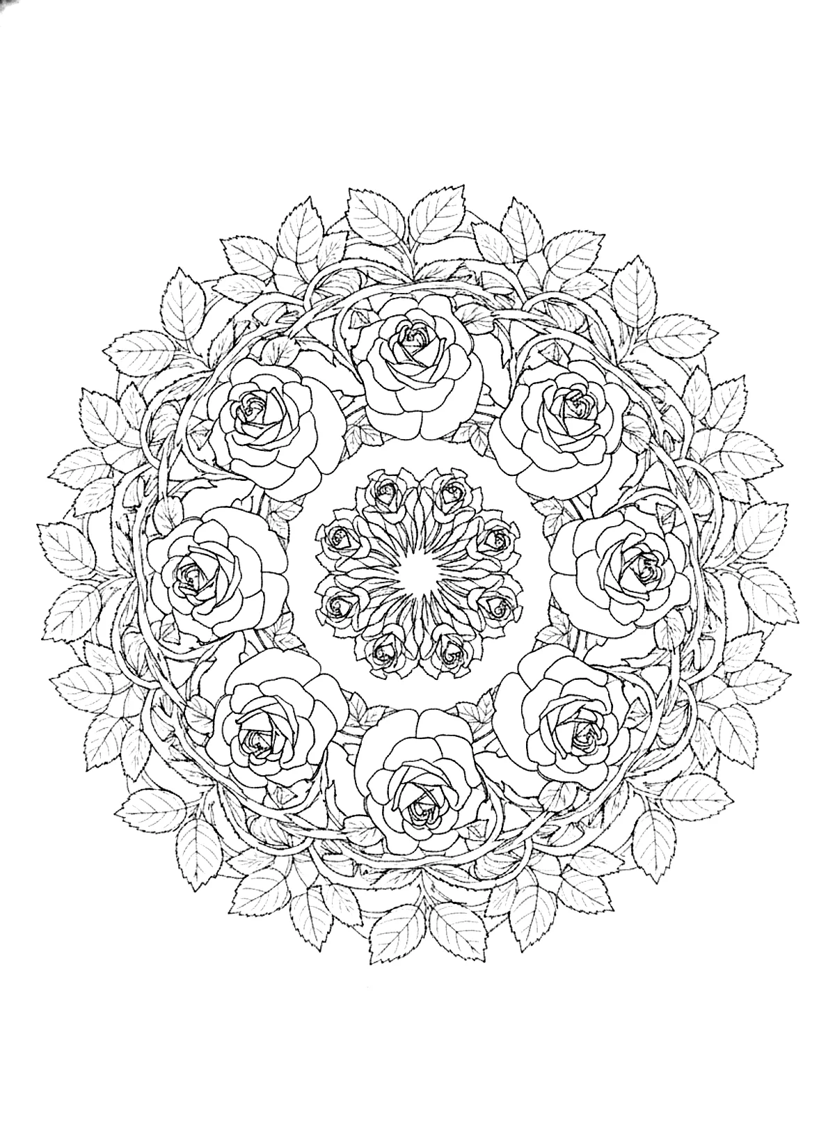 Rose mandala coloring page for adults: a mandala built from rose blossoms and leaves in rings, black line art