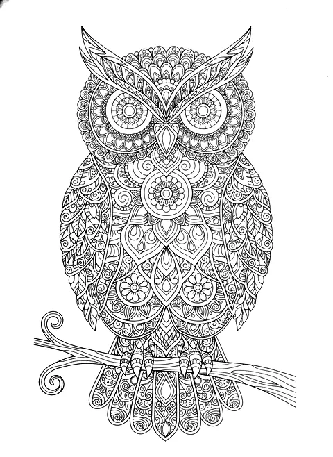Owl mandala coloring page for adults: an owl made entirely of ornamental mandala patterns, black line art