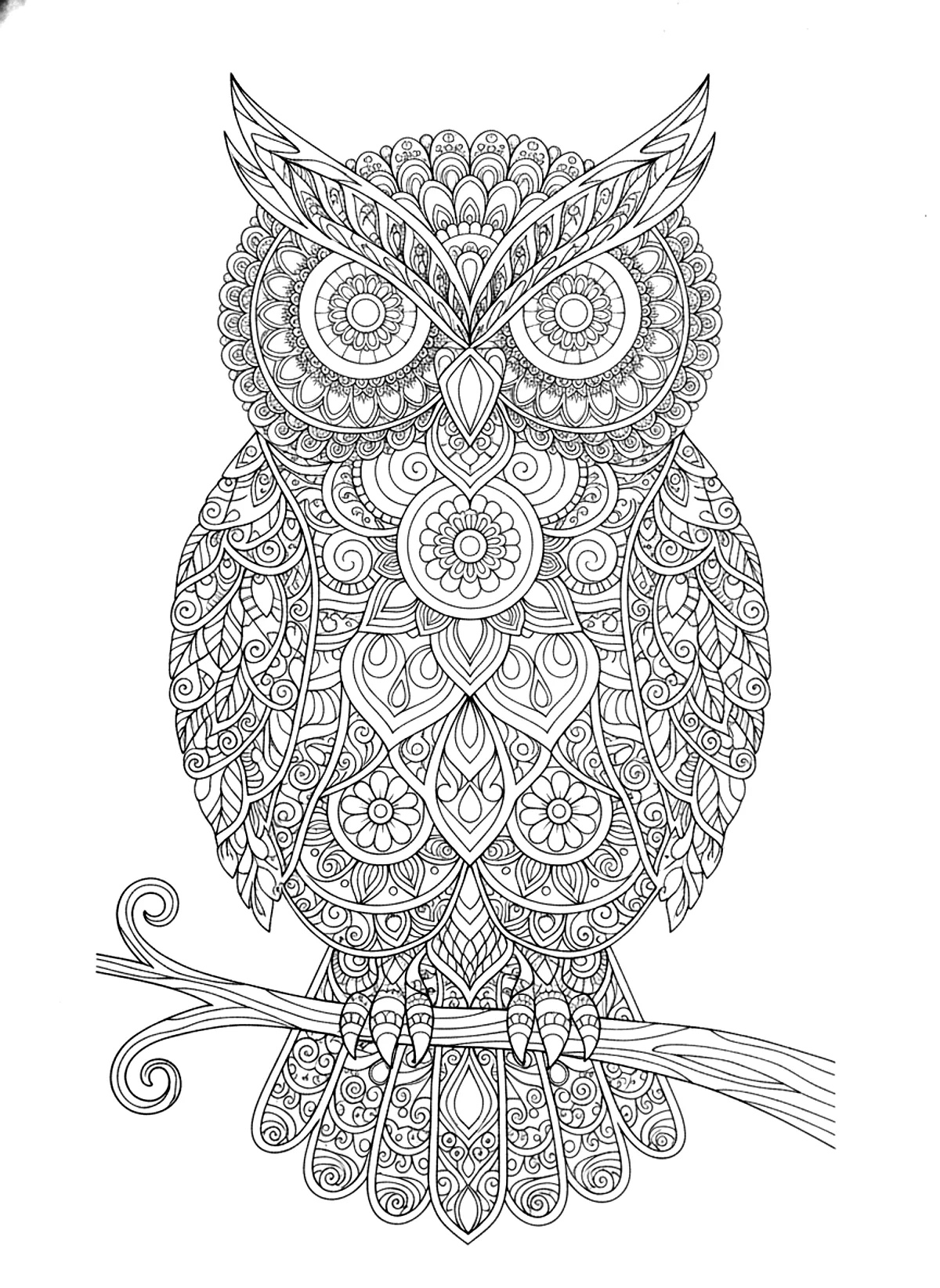 Owl mandala coloring page for adults: an owl made entirely of ornamental mandala patterns, black line art