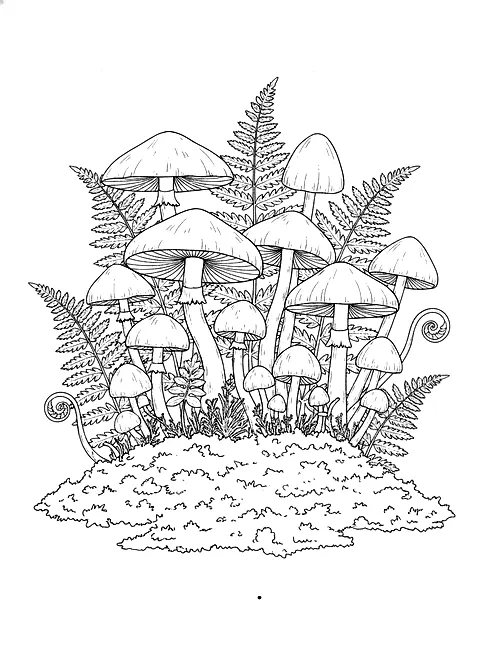 Wild mushroom cluster coloring page for adults: a cluster of different wild mushrooms with ferns and moss, black line art