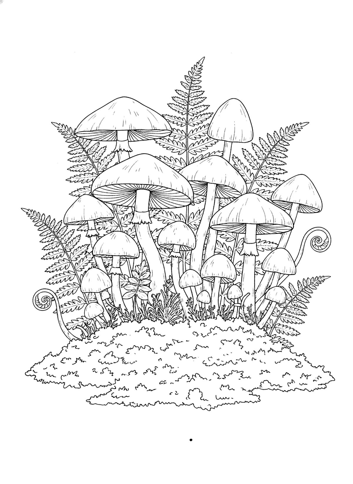 Wild mushroom cluster coloring page for adults: a cluster of different wild mushrooms with ferns and moss, black line art