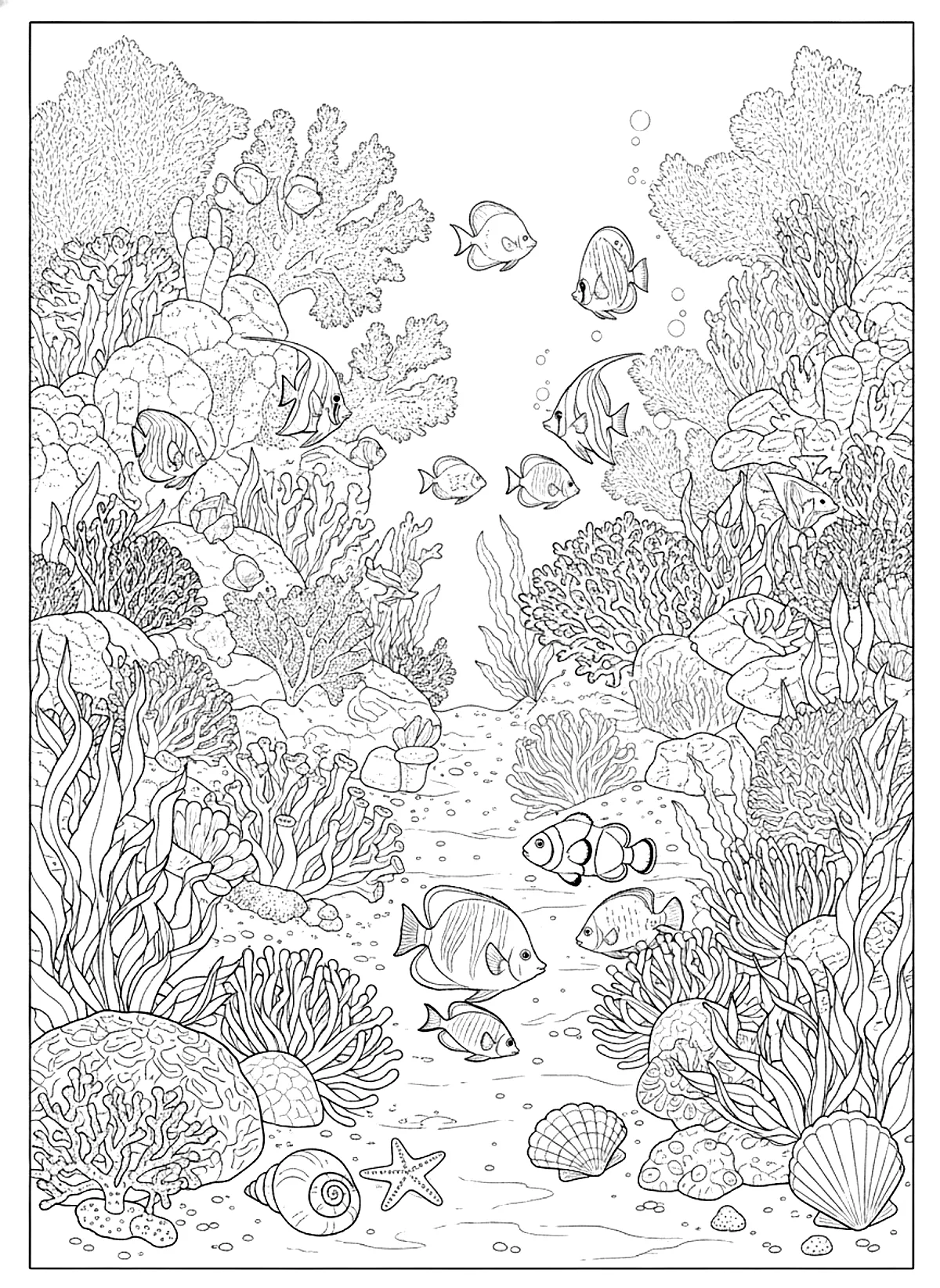 Coral reef with fish coloring page for adults: a coral reef with tropical fish, sea anemones and seaweed, black line art