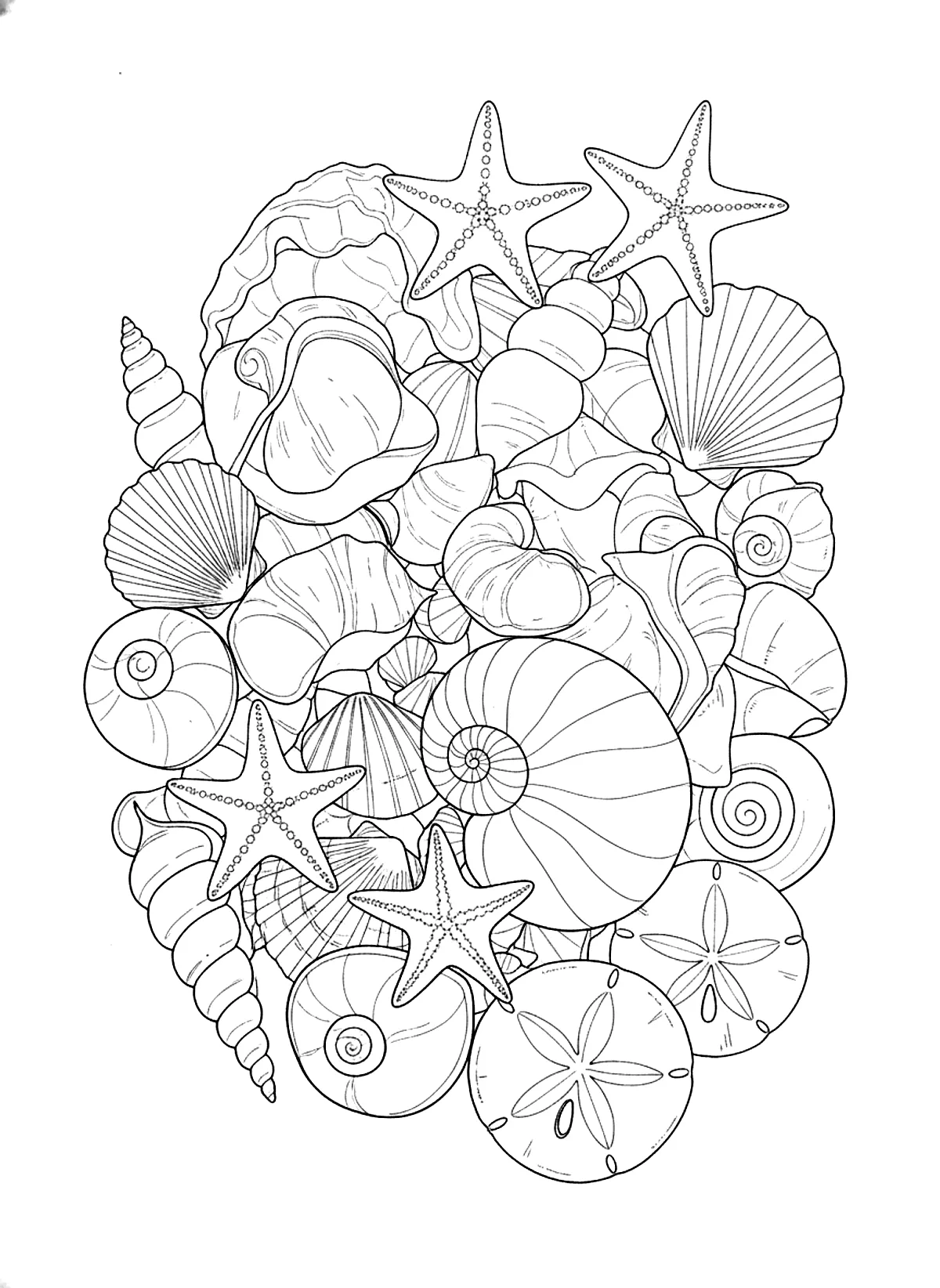 Seashell collection coloring page for adults: an arrangement of seashells, starfish and sand dollars, black line art