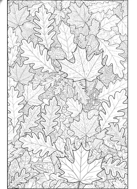 Gratitude leaf pattern coloring page for adults: a page filled with large oak and maple leaves with ornamental patterns inside each leaf, no text, black line art
