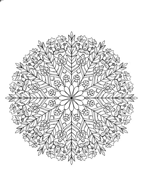 Harvest mandala coloring page for adults: a round mandala made of autumn leaves, acorns, wheat and small pumpkins, black line art
