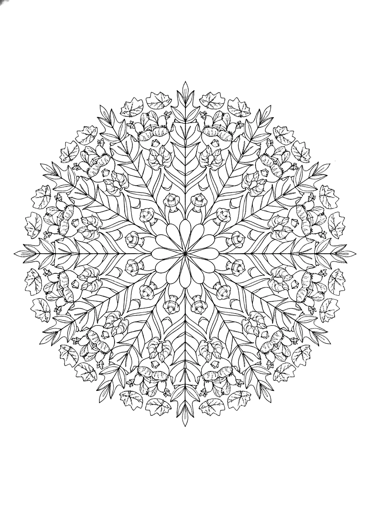 Harvest mandala coloring page for adults: a round mandala made of autumn leaves, acorns, wheat and small pumpkins, black line art