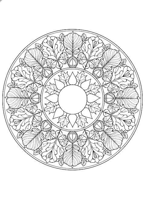 Turkey feather mandala coloring page for adults: a round mandala made of turkey feathers, acorns and maple leaves in symmetrical rings, black line art