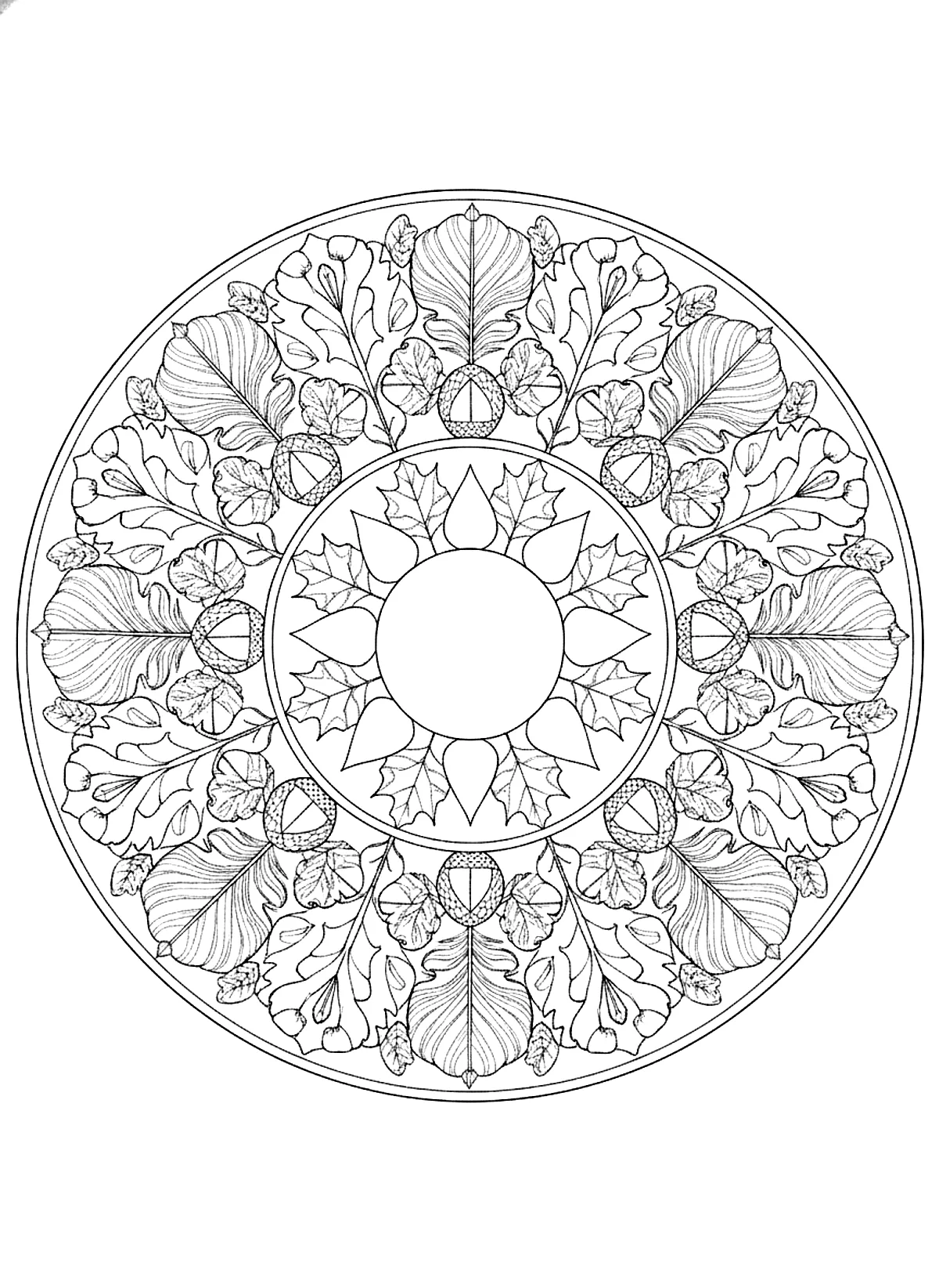 Turkey feather mandala coloring page for adults: a round mandala made of turkey feathers, acorns and maple leaves in symmetrical rings, black line art