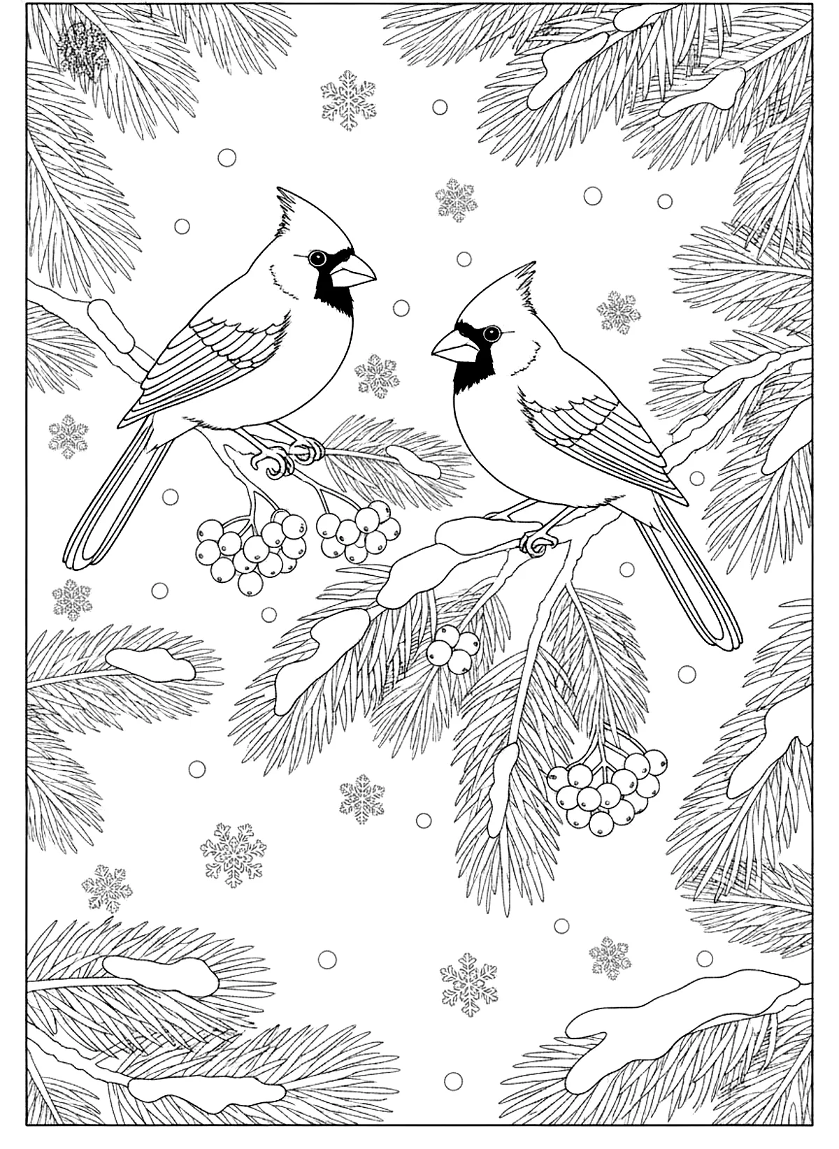 Cardinals in the snowfall coloring page for adults: two cardinals on snowy branches with pine needles, berries and falling snow, black line art
