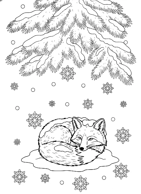 Winter fox in the snow coloring page for adults: a fluffy fox curled up in the snow under a pine tree with falling snowflakes, black line art