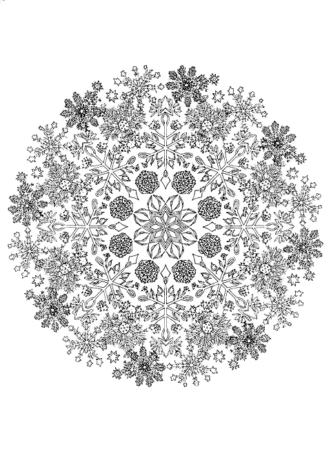 Winter mandala coloring page for adults: a round mandala made of snowflakes, pine branches, pine cones and stars, black line art