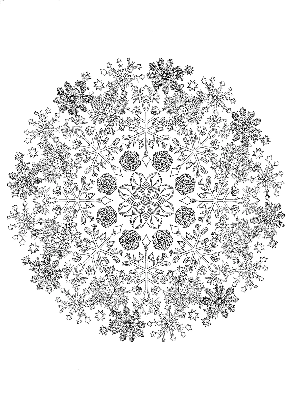 Winter mandala coloring page for adults: a round mandala made of snowflakes, pine branches, pine cones and stars, black line art