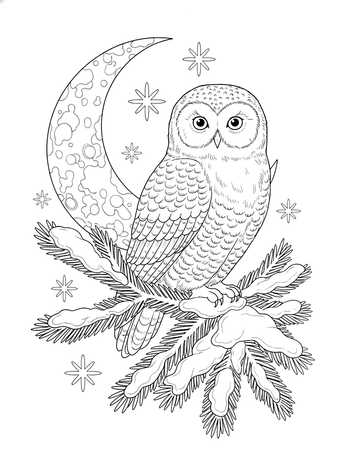 Snowy owl in the pines coloring page for adults: a snowy owl perched on a pine branch with snow and a crescent moon, black line art